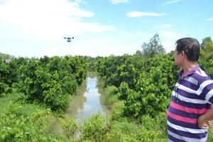 Lão nông Tư Tấn theo dõi đường bay về của chiếc drone trị giá 650 triệu đồng, sau khi gieo sạ lúa. Ảnh: CAO PHONG
