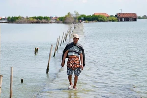 Đường bị ngập do mực nước biển dâng cao ở miền Trung Java, Indonesia. Ảnh: AP