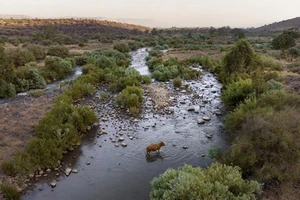 Israel công bố kế hoạch sinh thái