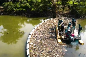 Rào chắn trên sông gom rác thải nhựa