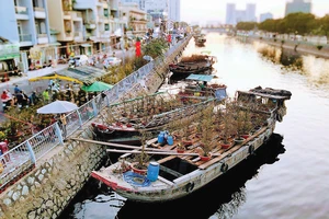 Chợ hoa xuân “Trên bến dưới thuyền” bến Bình Đông (quận 8) những ngày giáp tết. Ảnh: DŨNG PHƯƠNG