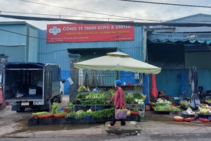 Việc buôn bán trên đường Tân Liêm hiện chỉ diễn ra phía trong vạch sơn do UBND xã Phong Phú, huyện Bình Chánh kẻ sẵn. Ảnh: NGỌC ÁNH
