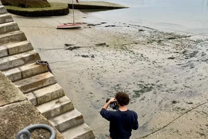 Pháp điều tra vụ vi nhựa độc hại xuất hiện dọc bờ biển