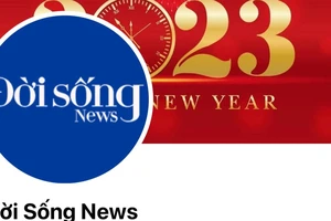 Chủ sở hữu tên miền doisongnews.com bị phạt hành chính 25 triệu đồng