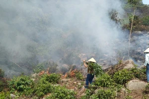 Tình trạng đốt thực bì ở Lâm Đồng vẫn diễn ra phức tạp