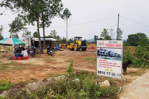 Đất rừng ở xã Gành Dầu (TP Phú Quốc) bị phân lô bán nền tràn lan vào cuối năm 2018. Ảnh: QUỐC BÌNH
