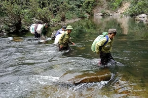 Lực lượng bảo vệ rừng chuyên trách lội suối tuần tra bảo vệ rừng