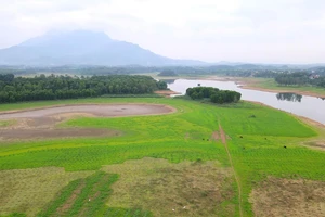 Hồ Suối Hai ở huyện Ba Vì đã cạn trơ dần đáy vào tháng 5-2023