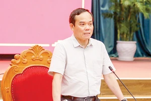 Phó Thủ tướng Trần Lưu Quang phát biểu chỉ đạo tại hội nghị