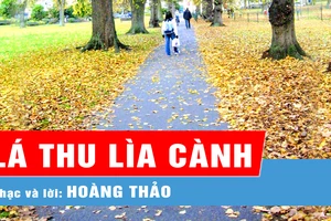 Lá thu lìa cành