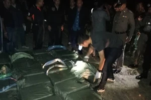 15 triệu viên methaphetamine bị cảnh sát Thái Lan thu giữ sau khi bắn chết một kẻ buôn lậu ngày 6-12-2018. Ảnh: BERNAMA