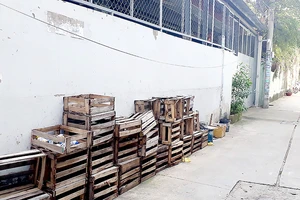 Cơ sở Tân Tín Văn đưa mấy tấm pallet cũ mục ra chiếm dụng đường hẻm