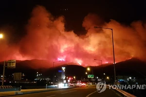 Ngọn lửa bao trùm vùng núi Gangneung ngày 5-4. YONHAP