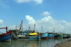 “Phạt nguội” hàng chục tàu cá đánh bắt trái phép