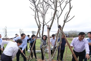 Bà Trương Thị Mai, Ủy viên Bộ Chính trị, Bí thư Trung ương Đảng, Trưởng ban Dân vận Trung ương cùng các đại biểu thực hiện nghi thức trồng cây của chương trình Quỹ 1 triệu cây xanh cho Việt Nam.
