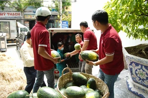Công ty CP Đầu tư và Xây dựng Phúc Khang đã quyết định hỗ trợ tiêu thụ 20 tấn dưa hấu cho nông dân tỉnh Gia Lai