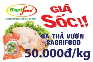 Thịt gà thả vườn Sagrifood 50.000đ/kg