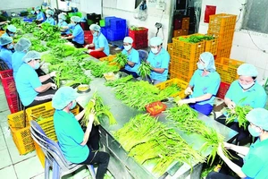  Xuất khẩu nông sản vào Thái Lan tăng