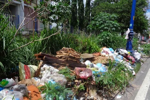 Bãi rác tự phát gây ô nhiễm