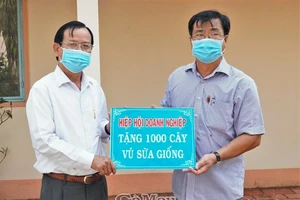 Chủ tịch Hiệp hội Doanh nghiệp tỉnh, ông Lê Hoàng Phước (trái) đại diện trao bảng tượng trưng 1.000 cây vú sữa giống tặng UBND xã Trí Lực. Ảnh: Báo Cà Mau