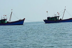  Cà Mau hỗ trợ 100% cước thuê bao giám sát hành trình tàu cá