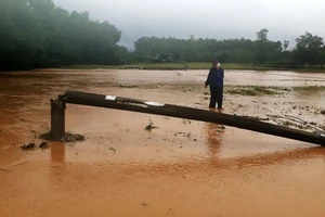 Bình Định, Phú Yên: Kiến nghị Thủ tướng hỗ trợ khắc phục hậu quả lũ lụt