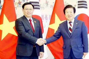 Việt Nam - Hàn Quốc: Mong muốn nâng cấp quan hệ lên Đối tác chiến lược toàn diện