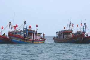 Bà Rịa - Vũng Tàu: Thực hiện cao điểm chống đánh bắt thủy hải sản trái phép