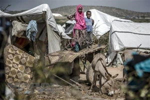 Khu lều tạm dành cho người dân bị ảnh hưởng bởi lũ lụt và hạn hán tại Beledweyne, Somalia. Ảnh: TTXVN