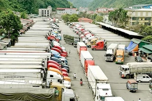 Từ ngày 16-2, Lạng Sơn tạm dừng tiếp nhận xe chở hoa quả xuất khẩu