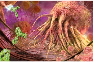 Mô phỏng vi khuẩn tấn công tế bào ung thư