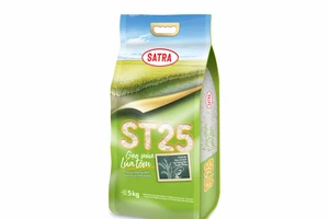 Satra ra mắt sản phẩm gạo ST25 lúa - tôm