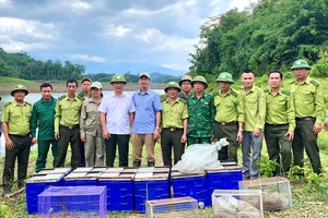 Cơ quan chức năng chứng kiến việc thả cá thể động vật hoang dã vào Vườn quốc gia Vũ Quang