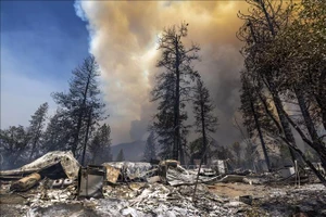 Xe ô tô, nhà cửa bị thiêu rụi trong vụ cháy rừng tại bang California, ngày 23-7-2022. Ảnh: AFP/TTXVN