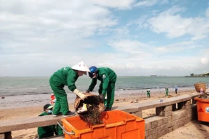 Thu dọn hơn 16 tấn rác dạt vào bờ biển Vũng Tàu