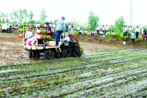 Giúp nông dân thu lợi từ “đơn đặt hàng” của doanh nghiệp xuất khẩu