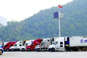 Xe container chở nông sản xuất khẩu chờ làm thủ tục thông quan tại cửa khẩu Hữu Nghị, Lạng Sơn. Ảnh: THU THỦY
