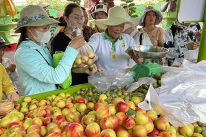 Tưng bừng lễ hội trái cây suốt mùa hè tại TPHCM