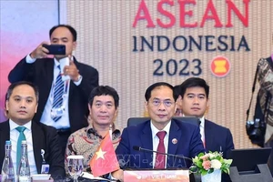 Bộ trưởng Ngoại giao Bùi Thanh Sơn tham dự Hội nghị. Ảnh: TTXVN
