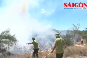 Quảng Bình: Tất bật chống cháy rừng phòng hộ ven biển