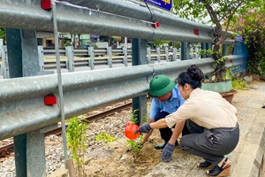 Đà Nẵng ra quân dọn dẹp vệ sinh, trồng hoa cải tạo cảnh quan đường tàu