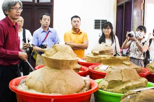 Giải pháp bảo tồn tính nguyên vẹn mộ chum trong Văn hóa Sa Huỳnh sau khai quật