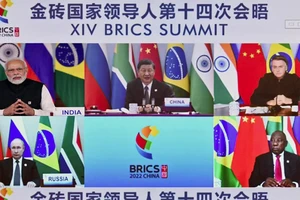 Thúc đẩy phát triển BRICS