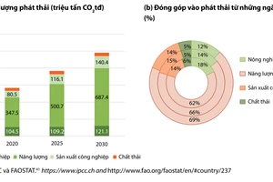 Tiềm năng lớn về carbon từ rừng, nông nghiệp, năng lượng