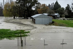 Ngập lụt do mưa lớn gần thị trấn Ashburton ở vùng Canterbury, New Zealand. Ảnh: AFP/TTXVN
