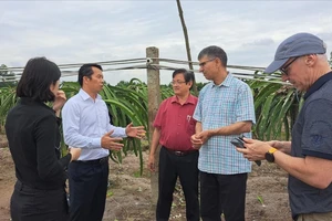 Hỗ trợ nông nghiệp Việt phát triển hiệu quả