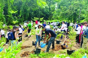 Đông đảo người dân tham gia phong trào OneMillionTrees ở Singapore
