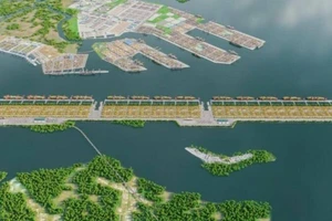 Phấn đấu xây dựng bến cảng trung chuyển quốc tế Cần Giờ