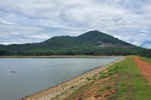 Vụ phá rừng phòng hộ lòng hồ Vạn Định: Xã phải lập barie để chống phá rừng
