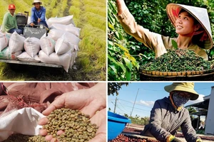 Giá gạo, cà phê, hạt tiêu… của Việt Nam tăng vọt trên thị trường thế giới